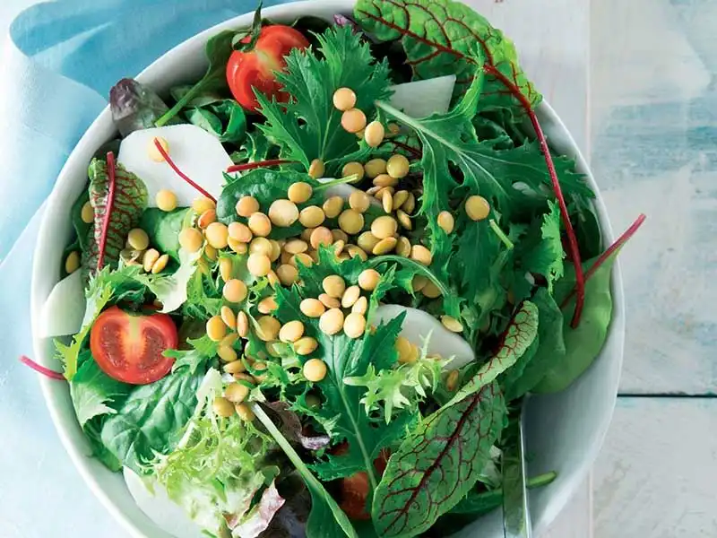 Yeşil Mercimek Salata